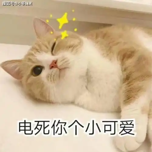  搞笑gif趣图事不过三,帅不过三秒