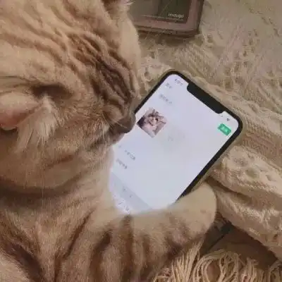 动物搞笑情头一对