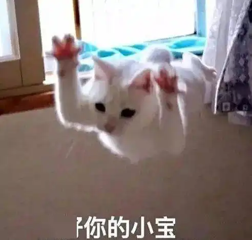  惊闻上师大宿舍内居然有此事