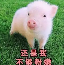  你是不是在外面有别的小猪了表情包全套