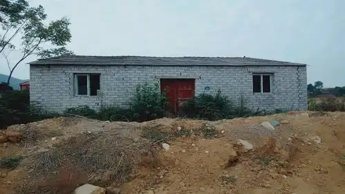 蔡甸乡村迎来大发展创新治理,共建共享  蔡甸乡村迎来大发展创新治理,共建共享