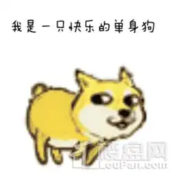 搞笑动态图片大全gifdog