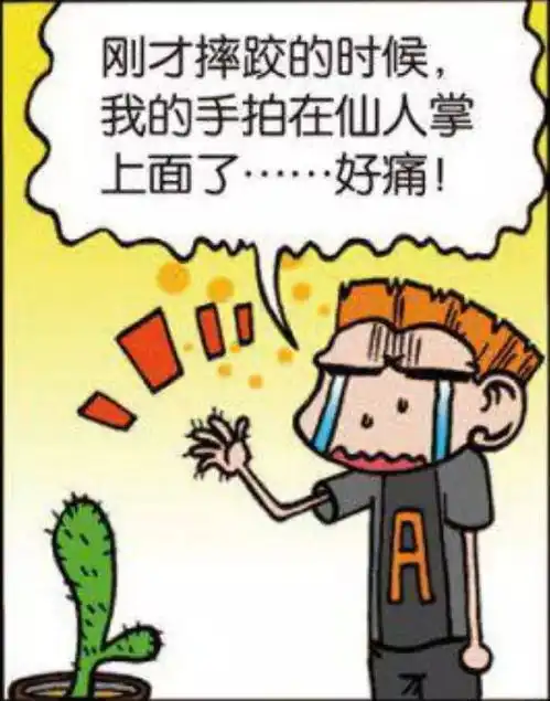  搞笑呆头和旺财a仔参观植物园,周围好多仙人掌