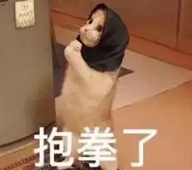  我们需要噪梦的你