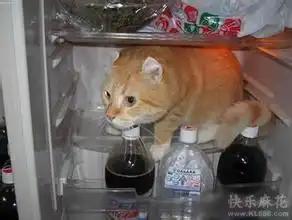  天太热幽默图片奇葩们都呆不住了