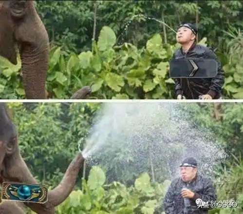 银子图片搞笑搞笑