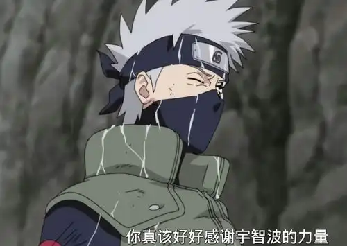 火影忍者搞笑图片佐助火
