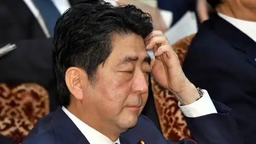  日民众抗议安倍韩倒朴派力挺他太像朴槿惠