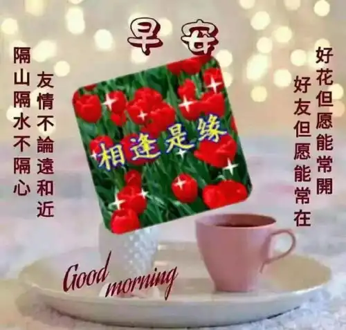  朋友圈看着舒服暖心的早安图片新版早上好问候朋友的祝福语图片