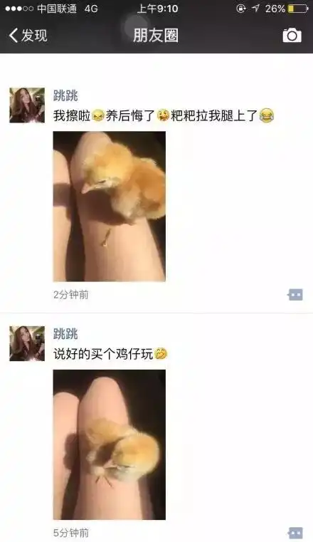  哈哈哈哈哈哈哈哈哈这是我见过的最好笑的朋友圈