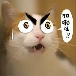  表情