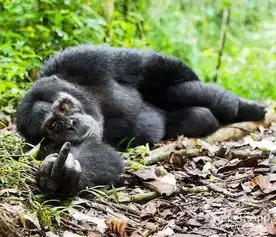 搞笑图片网站哪个好摄影
