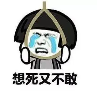 全是我的错表情包戚薇力