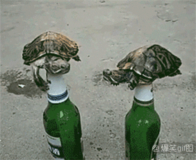  搞笑gif从此江湖上难免一场腥风血雨啊