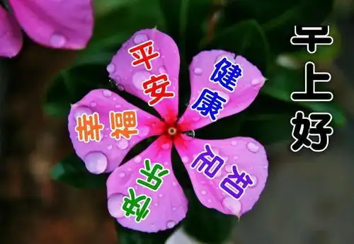  微信朋友圈特漂亮的早上好图片早上好问候句子