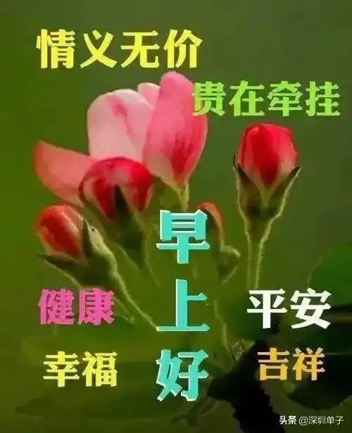  平安是福,健康是宝,开心快乐每一秒周末愉快,好运连连财神网易订阅