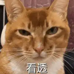  5..2..0..朋友圈请屏蔽我谢谢第101期喵表情
