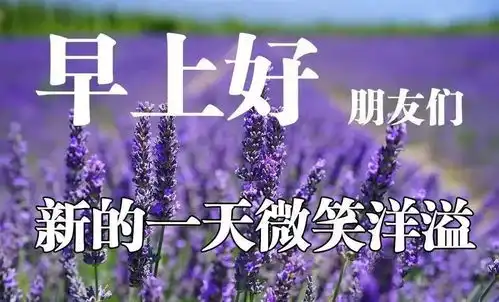 冬天清晨问候图片
