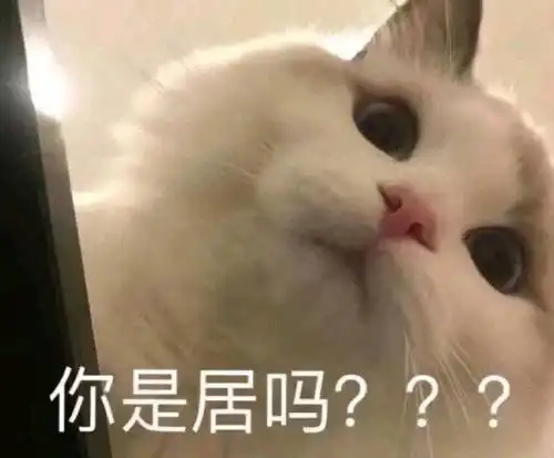  表情包你是居吗