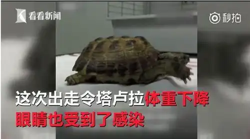  2018年奇葩新闻盘点,今年的快乐一次性给你