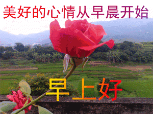  今日大寒,不用打字就能聊天的动态图片送给你,太美了