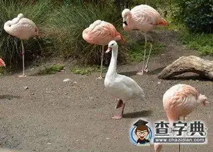  一个不怎么走心的cos搞笑图片