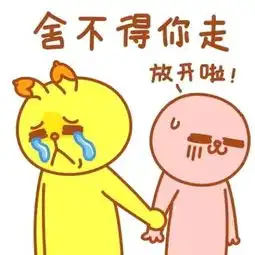  除了傻傻的外,人生还有些事情要思考