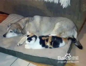 怎样让孩子更好的享受到启蒙教育  怎样让孩子更好的享受到启蒙教育