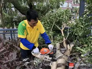  台风山竹远去,这一组照片,解密珠海大变样的原因