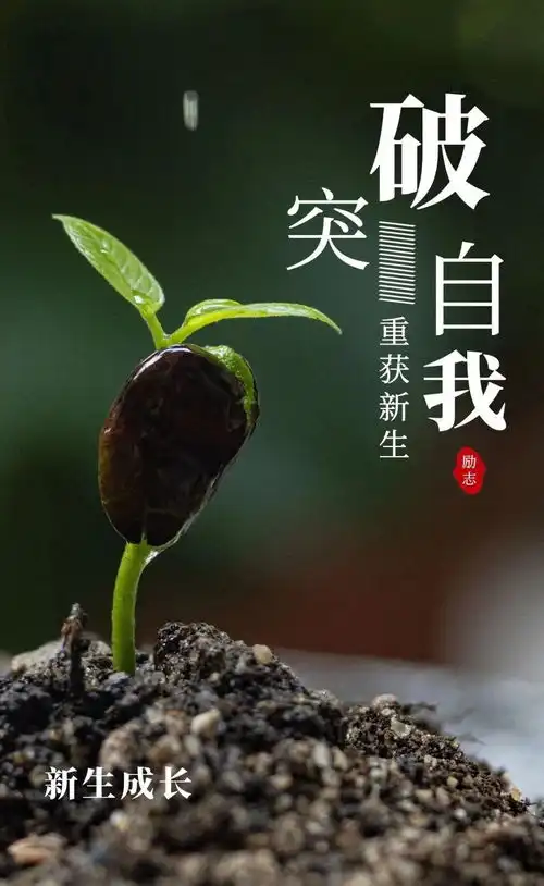 腊月二十八早安心语正能量阳光图片日签  腊月二十八早安心语正能量阳光图片日签