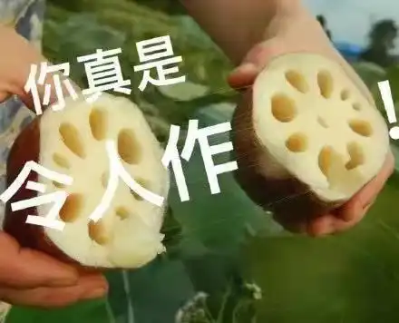  本想交真心哥们,可这男人的一句好哥哥,我20万就情不自禁掏出来了