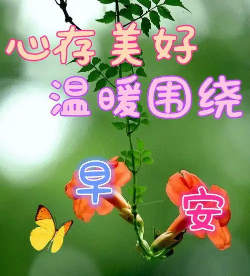 嗨美丽的姑娘表情包祝福
