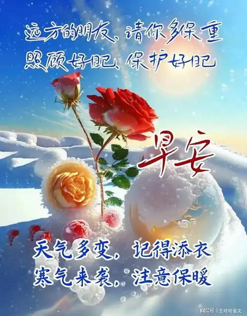  寒冬腊月深冬清晨的幸福问候,带给你一天温馨与美好