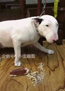  搞笑gif趣图哥们这么吃面不烫吗哈哈,要是吃火锅可怎么办啊