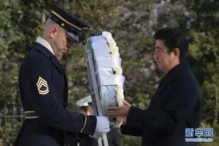  日本想成正常国家还是想永远不正常