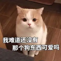 跟男朋友撒娇表情包睡醒了,要抱抱