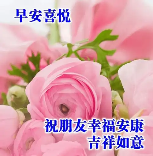 深秋早上好问候语唯美句子,2020早晨好问候图片表情合集  深秋早上好问候语唯美句子,2020早晨好问候图片表情合集