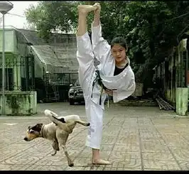  每日一笑终于对海尔兄弟下手了...