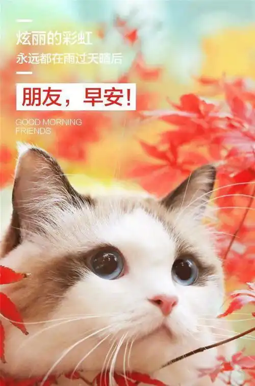  2月19日早安心语正能量最火语录句子清晨早上好图片带字正能量