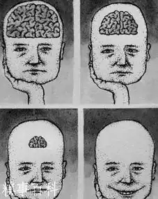 爱笑的人智商低吗还是没脑子这张图说明了什么  爱笑的人智商低吗还是没脑子这张图说明了什么