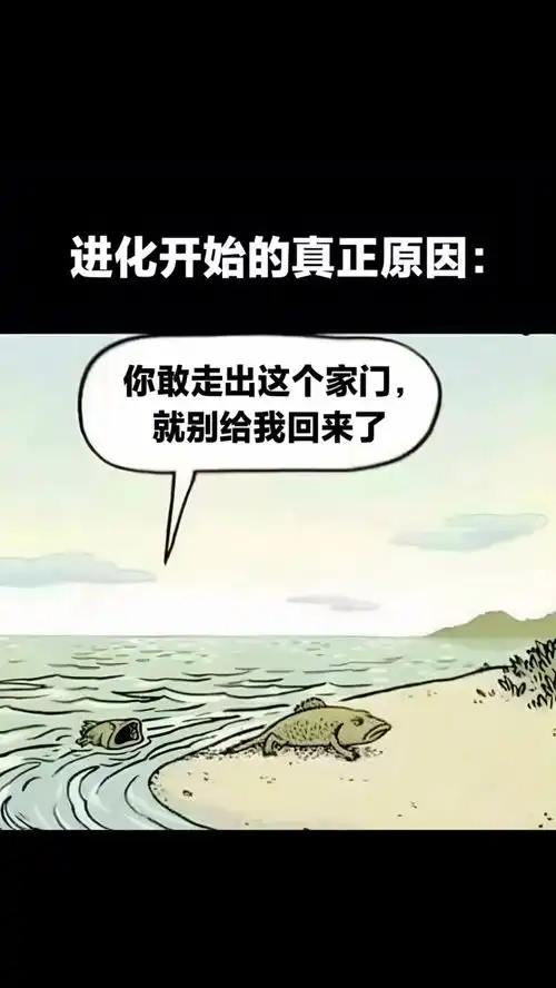  搞笑图片集锦53