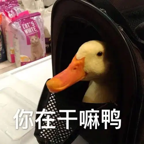  幽默笑话一女子网上求助问为什么我一直打嗝,神回复屁迷路了