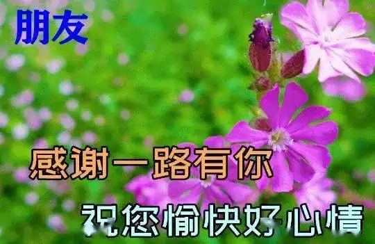  清晨,祝福