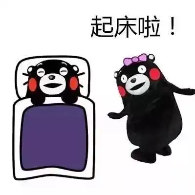  权益周报我们不做起床困难户