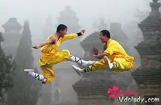 古代也强拆抗旨不搬最牛钉子户是少林寺