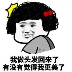  有人约我做头发搞笑表情包我做头发回来了