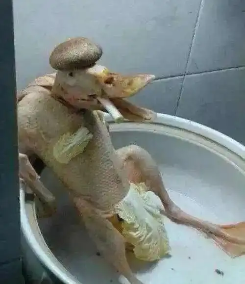  搞笑图片求婚嘛当然要做好两手准备了