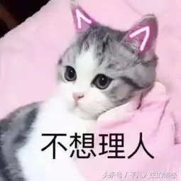  段子神回复有女朋友就已经不错了,还挑剔