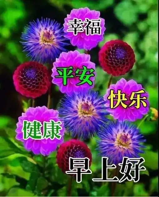  最新漂亮风景早上好图片带字带祝福语,早上发朋友圈很漂亮的问候图片带字