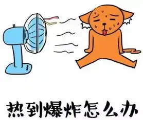  6月不只有高温和降雨,还有这些事关安徽人的好消息